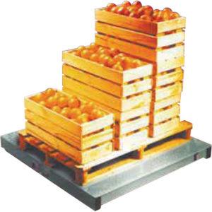 AND ELP SERIES WPE PLATFORM SCALE