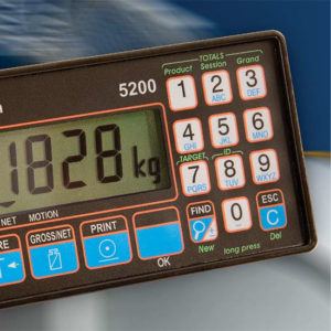 RINSTRUM 5000 Series Indicator