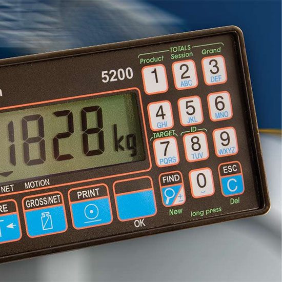 RINSTRUM 5000 Series Indicator
